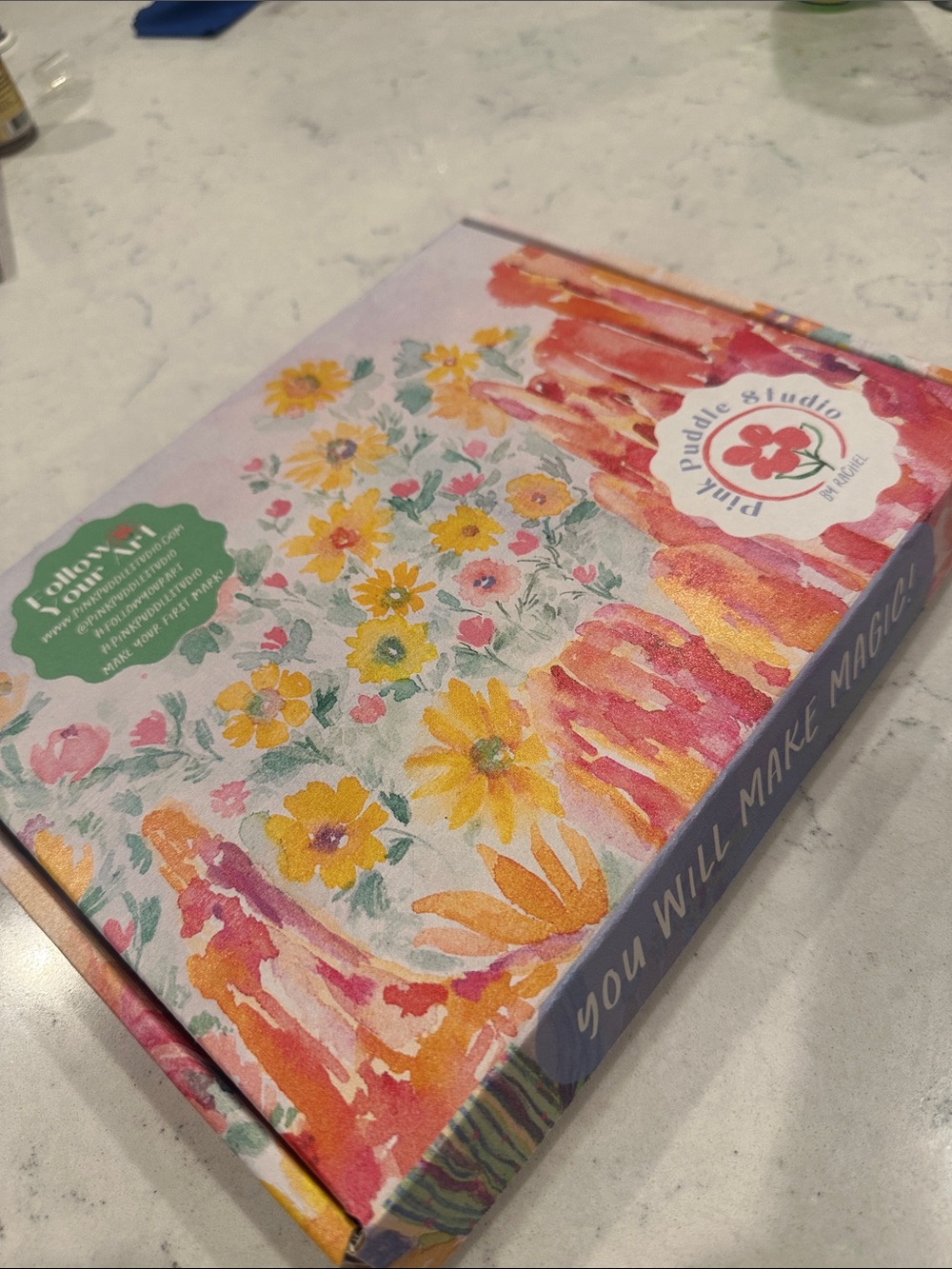 Pink Puddle Studio by Rachel Complete Watercolor Painting Kit NWT Unused